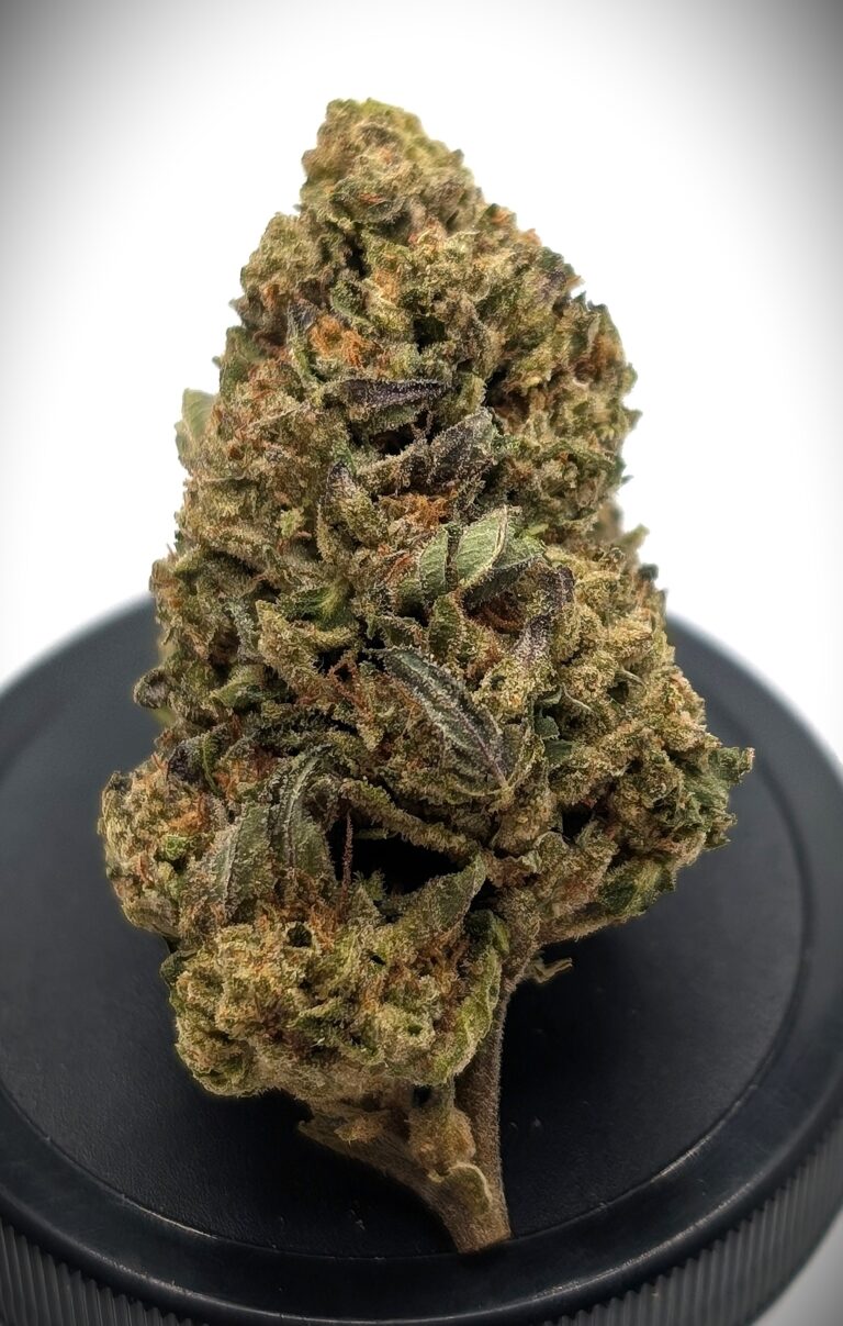 White Chocolate Chip